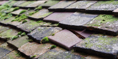 Slapton roof repair costs